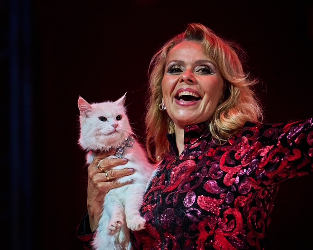 Fatime und ihre Katzen